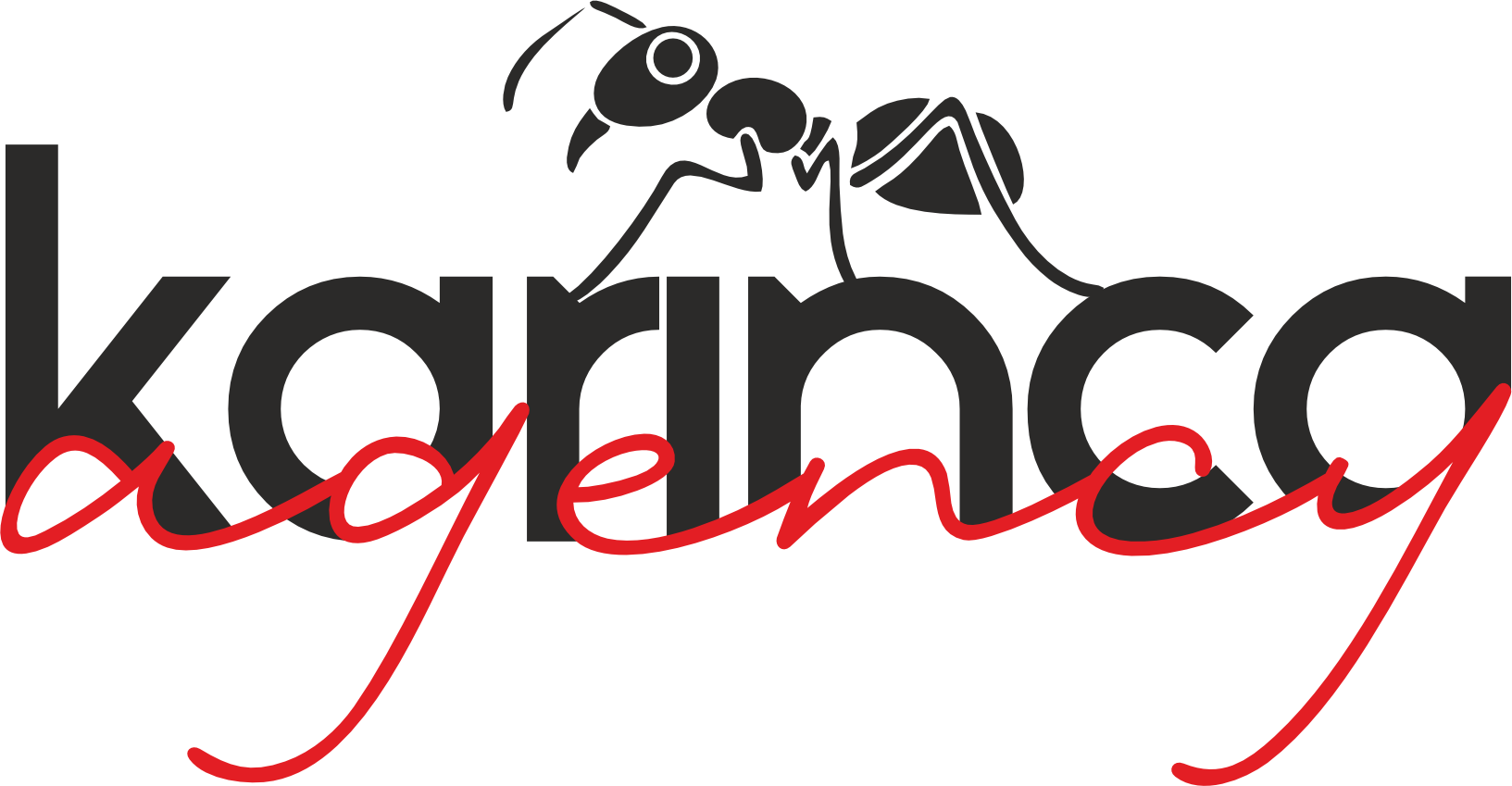 Karınca Dijital Medya